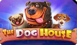 jaak casino – The Dog House